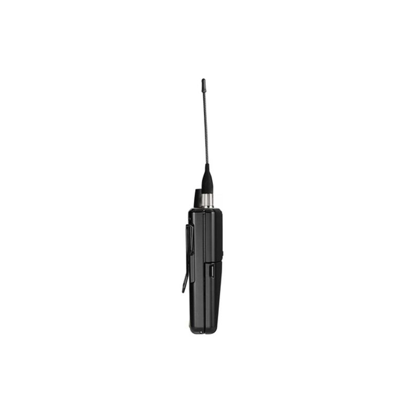 P9RA_Ampliada2